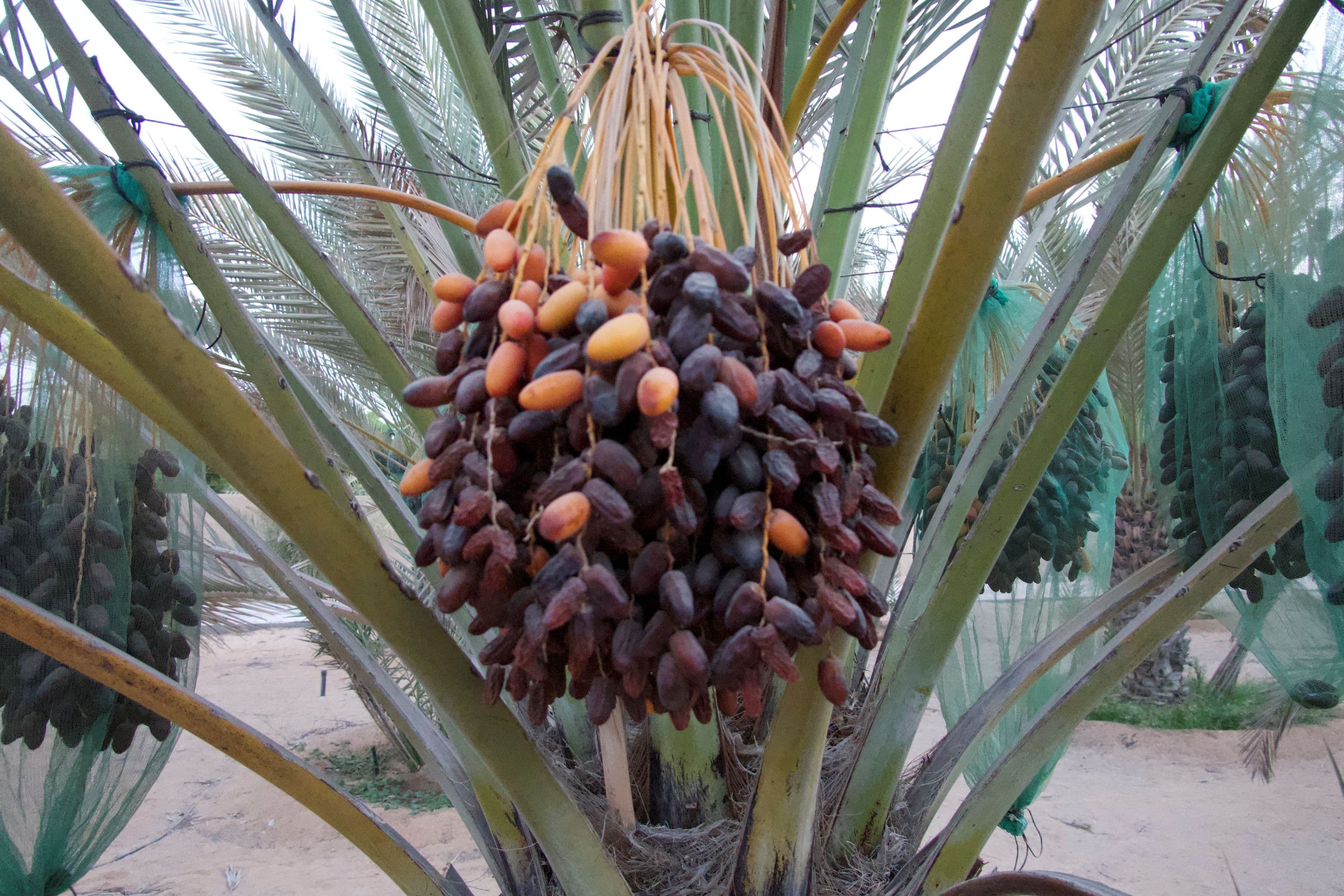 Architectural Marvels hero image