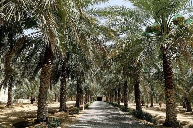 Architectural Marvels gallery image 3